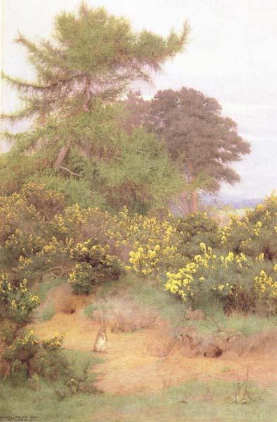 George Marks At the Edge of Shere Heath (mk46) oil painting image